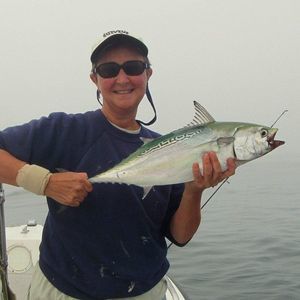 Meet your Posher, Susan